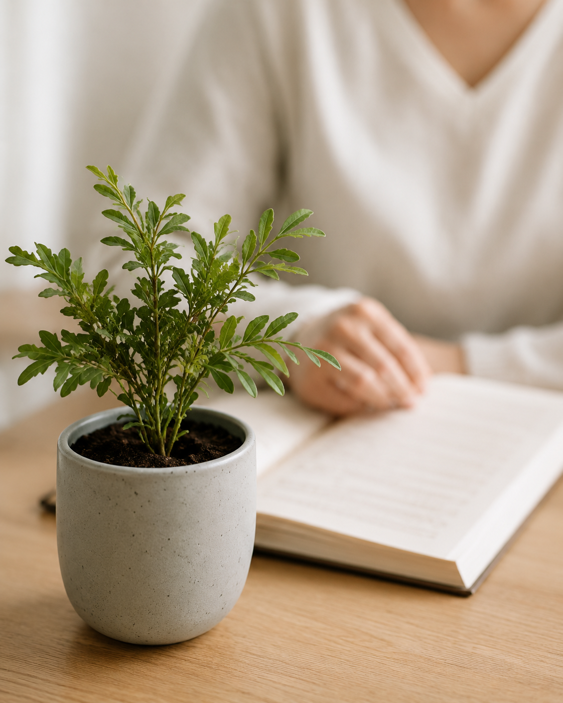 Small plant and notebook on a calm desk